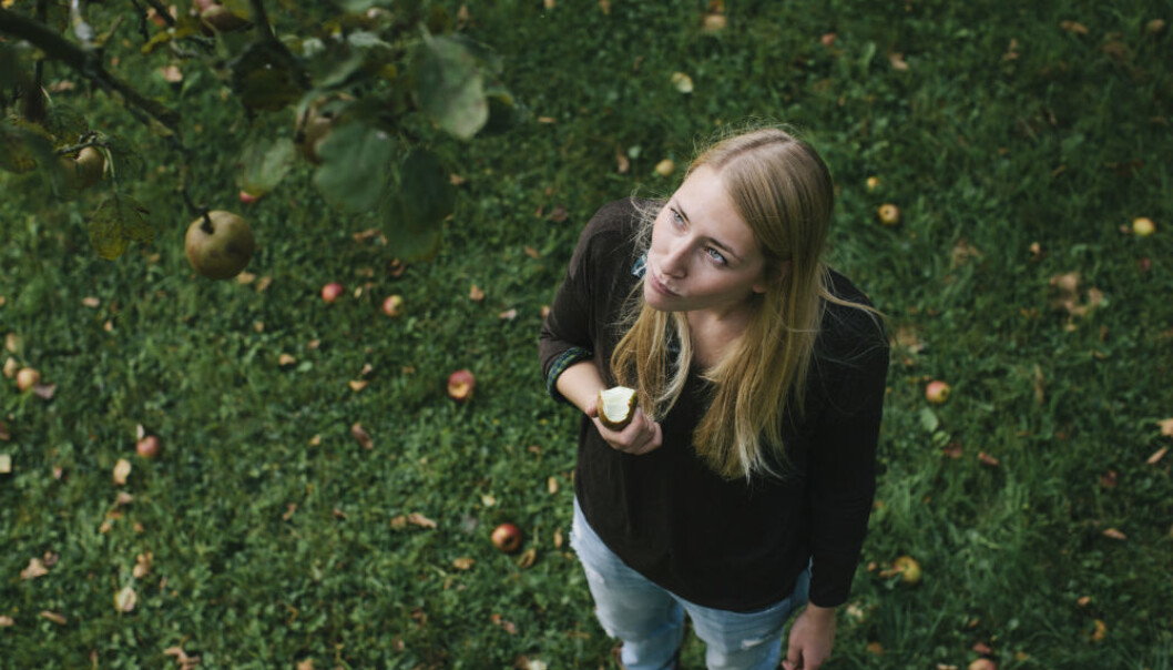 Vitamininnholdet i epleskallet er like høyt som i resten av eplet til sammen. Men det er derimot stor forskjell på hvor mye C-vitamin det er i de ulike eplesortene. (Foto: Kniel Synnatzschke/Plainpicture) Vitamininnholdet i epleskallet er like høyt som i resten av eplet til sammen. Men det er derimot stor forskjell på hvor mye C-vitamin det er i de ulike eplesortene. (Foto: Kniel Synnatzschke/Plainpicture)