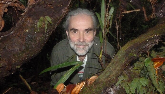 Forsker Eckhard W. Heymann trodde ikke at skogen skulle komme tilbake etter å ha blitt hogd helt ned. (Foto: Deutsches Primatenzentrum) Forsker Eckhard W. Heymann trodde ikke at skogen skulle komme tilbake etter å ha blitt hogd helt ned. (Foto: Deutsches Primatenzentrum)