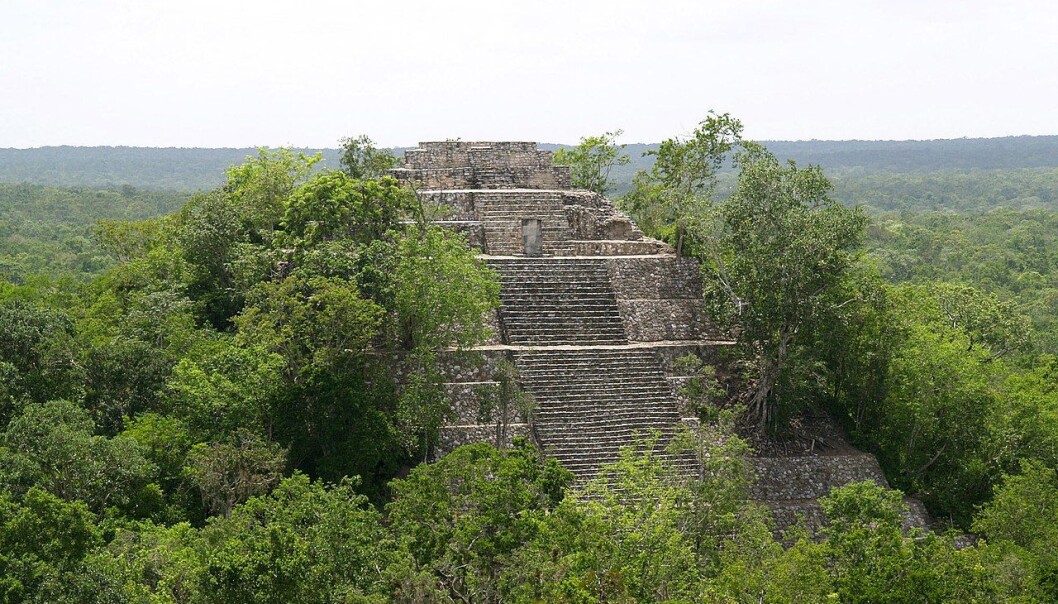 Pyramide i Calakmul, et viktig Maya-område i nærheten av grensa til dagens Guatemala. (Illustrasjonbilde: PhilippN/CC BY-SA 3.0) Pyramide i Calakmul, et viktig Maya-område i nærheten av grensa til dagens Guatemala. (Illustrasjonbilde: PhilippN/CC BY-SA 3.0)
