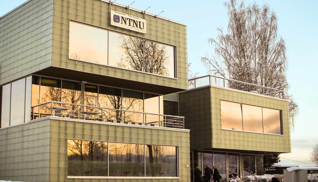 Språkdirektøren tilbyr NTNU nynorskkurs etter å ha sett eksamensoppgaven i statistikk og økonomi. (Foto: NTNU Gjøvik.) Språkdirektøren tilbyr NTNU nynorskkurs etter å ha sett eksamensoppgaven i statistikk og økonomi. (Foto: NTNU Gjøvik.)