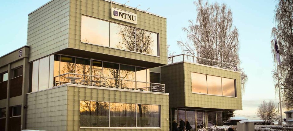 Språkdirektøren tilbyr NTNU nynorskkurs etter å ha sett eksamensoppgaven i statistikk og økonomi.  (Foto: NTNU Gjøvik.)