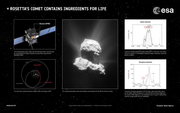 Rosetta (figur øverst til venstre) har funnet aminosyren glysin (graf øverst til høyre) og fosfor (graf nederst til høyre) i kometen 67Ps atmosfære (bildet i midten). (Figuren nederst til venstre viser Rosettas avstand og bane til kometen under målingene.) (Foto: ESA/ATG medialab/Rosetta/NavCam/Altwegg et al.) Rosetta (figur øverst til venstre) har funnet aminosyren glysin (graf øverst til høyre) og fosfor (graf nederst til høyre) i kometen 67Ps atmosfære (bildet i midten). (Figuren nederst til venstre viser Rosettas avstand og bane til kometen under målingene.) (Foto: ESA/ATG medialab/Rosetta/NavCam/Altwegg et al.)