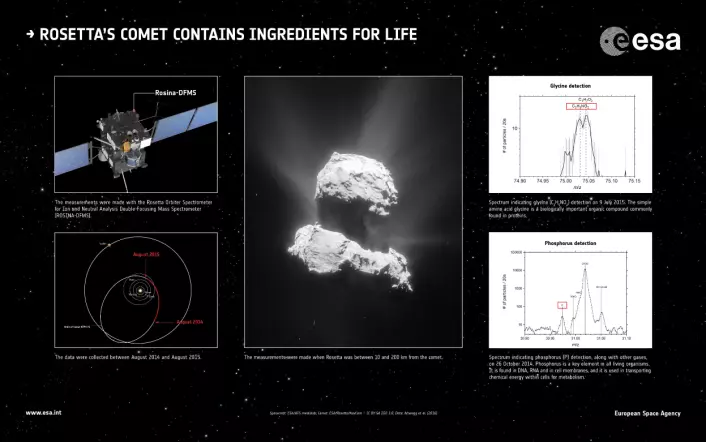Rosetta (figur øverst til venstre) har funnet aminosyren glysin (graf øverst til høyre) og fosfor (graf nederst til høyre) i kometen 67Ps atmosfære (bildet i midten). (Figuren nederst til venstre viser Rosettas avstand og bane til kometen under målingene.) (Foto: ESA/ATG medialab/Rosetta/NavCam/Altwegg et al.)