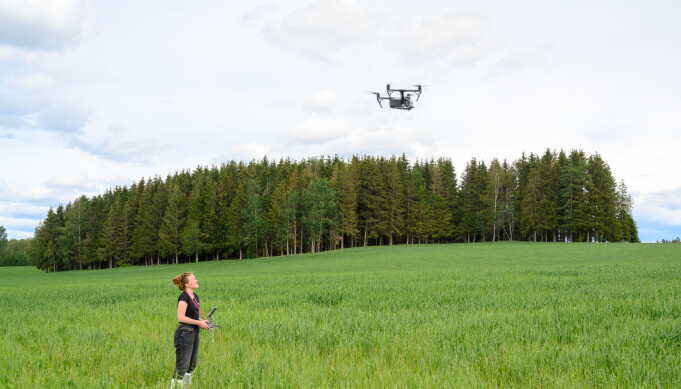 Dronebilder avslører hvor åkeren er angrepet. (Foto: Erling Fløistad) Dronebilder avslører hvor åkeren er angrepet. (Foto: Erling Fløistad)