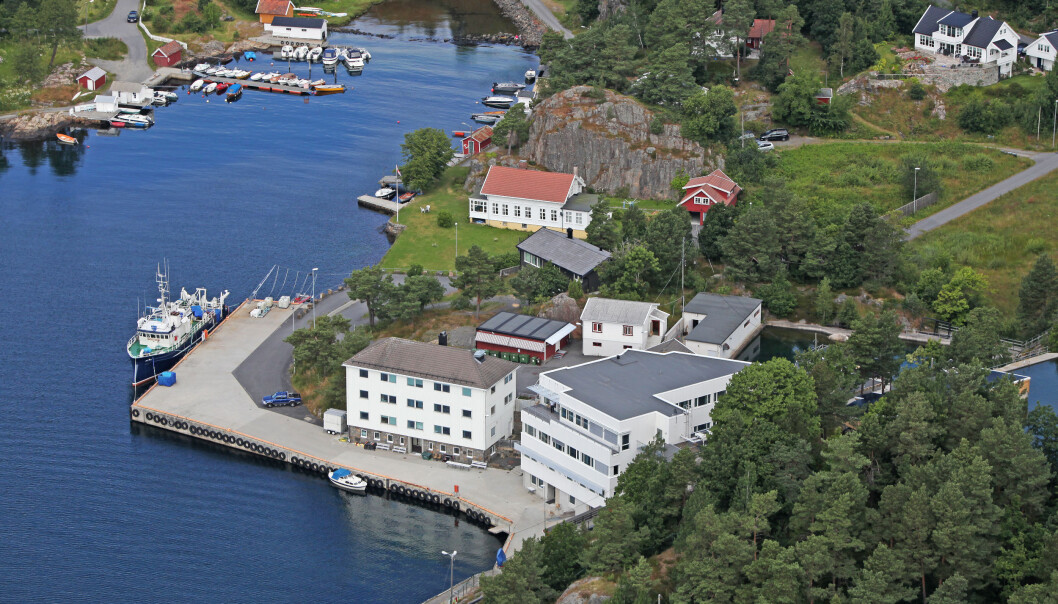 Havforskningsinstituttets forskingsstasjon i Flødevigen i Arendal er ein av Europas eldste institusjonar innan havforsking. (Foto: CCR/Havforskningsinstituttet) Havforskningsinstituttets forskingsstasjon i Flødevigen i Arendal er ein av Europas eldste institusjonar innan havforsking. (Foto: CCR/Havforskningsinstituttet)