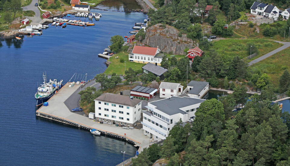 Havforskningsinstituttets forskingsstasjon i Flødevigen i Arendal er ein av Europas eldste institusjonar innan havforsking. (Foto: CCR/Havforskningsinstituttet)
