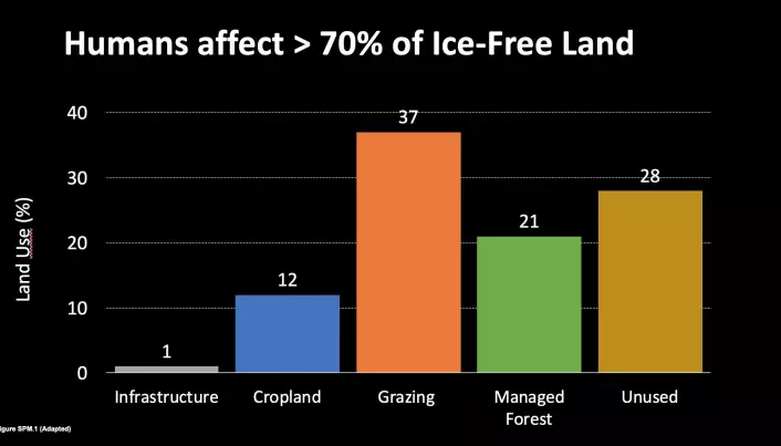 Hele 37 prosent av verdens isfrie landområder brukes til beiting. (Illustrasjon: Francesco Cherubini/NTNU)