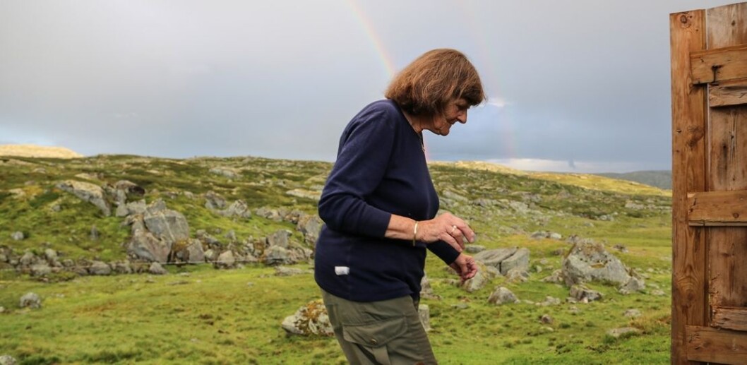 80 år gamle Ellen Sigmond har vært på feltarbeid i snart 60 år. Fortsatt er hun på feltarbeid hver sommer. (Foto: Sondre Sivertsen) 80 år gamle Ellen Sigmond har vært på feltarbeid i snart 60 år. Fortsatt er hun på feltarbeid hver sommer. (Foto: Sondre Sivertsen)