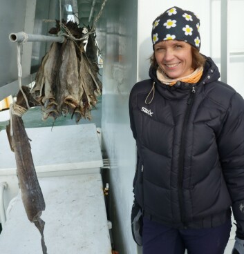 Cathrine Lund Myhre om bord på forskningsskipet «Helmer Hanssen». (Foto: NILU) Cathrine Lund Myhre om bord på forskningsskipet «Helmer Hanssen». (Foto: NILU)