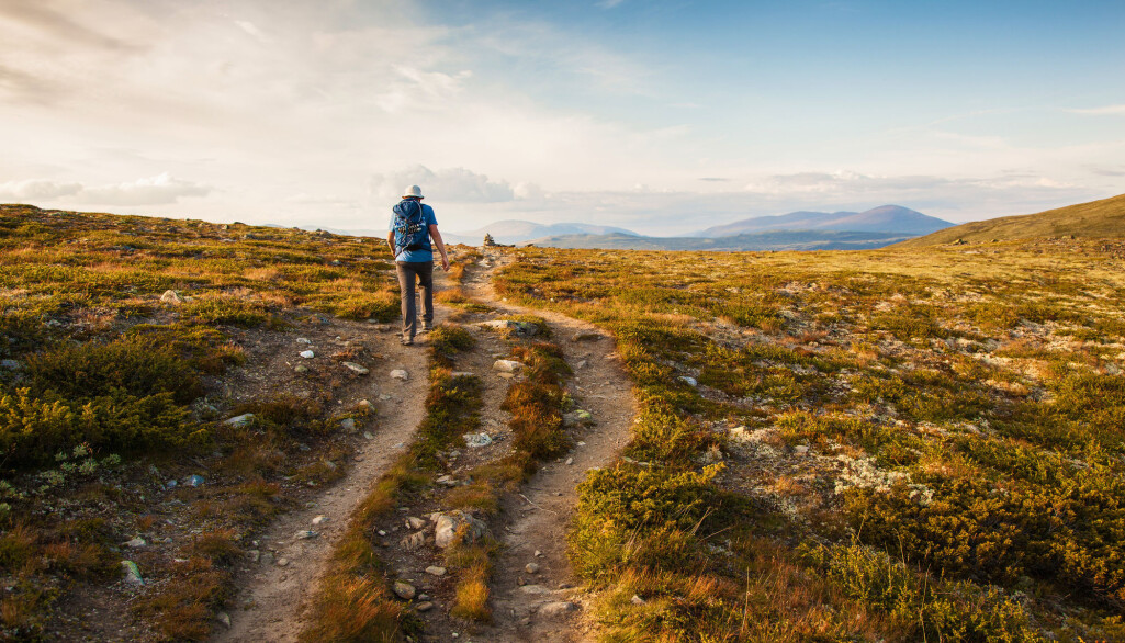 Skal du besøke Dovre eller Dombås? (Foto: Olga Miltsova / Shutterstock / NTB scanpix) Skal du besøke Dovre eller Dombås? (Foto: Olga Miltsova / Shutterstock / NTB scanpix)