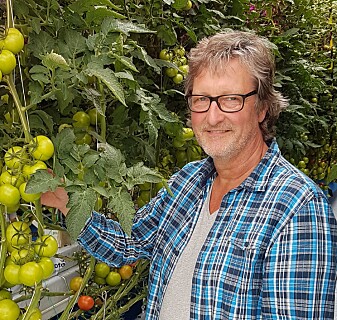 Sammenlignet med Nederland får vi 50 prosent større avlinger per kvadratmeter av tomater og agurker i Norge. Likevel mener folk flest at Norge er et land som ikke egner seg for veksthusproduksjon av grønnsaker, sier forsker Michel Verheul. (Foto: Henk Maessen, NIBIO). Sammenlignet med Nederland får vi 50 prosent større avlinger per kvadratmeter av tomater og agurker i Norge. Likevel mener folk flest at Norge er et land som ikke egner seg for veksthusproduksjon av grønnsaker, sier forsker Michel Verheul. (Foto: Henk Maessen, NIBIO).