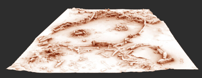 Hulen har også blitt 3D-scannet. Her kan du tydelig se de to ringene som har blitt laget av brukne stalagmitter. (Foto: (Bilde: Xavier MUTH - Get in Situ, Archéotransfert, Archéovision -SHS-3D, base photographique Pascal Mora)) Hulen har også blitt 3D-scannet. Her kan du tydelig se de to ringene som har blitt laget av brukne stalagmitter. (Foto: (Bilde: Xavier MUTH - Get in Situ, Archéotransfert, Archéovision -SHS-3D, base photographique Pascal Mora))