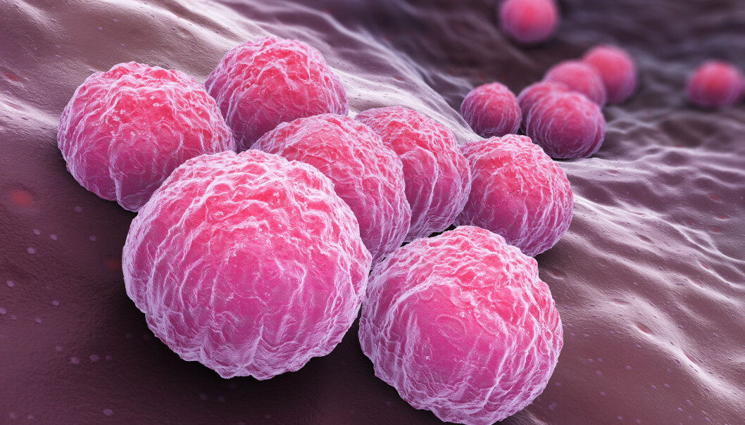 I verste fall kan en infeksjon med klamydia-bakterien føre til infertilitet. (Illustrasjon: Tatiana Shepeleva / Shutterstock / NTB scanpix) I verste fall kan en infeksjon med klamydia-bakterien føre til infertilitet. (Illustrasjon: Tatiana Shepeleva / Shutterstock / NTB scanpix)