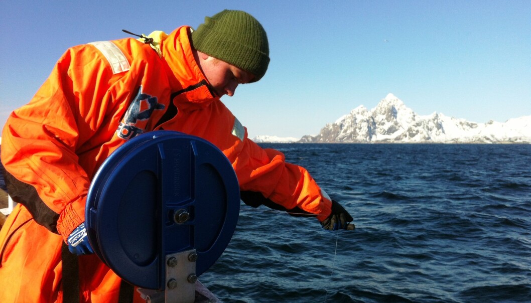Innan havbruk ser dei fleste at ein må ta omsyn til fleire ulike fagfelt. I andre samanhengar er ikkje dette like opplagt. (Foto: Aust-Lofoten videregående skole) Innan havbruk ser dei fleste at ein må ta omsyn til fleire ulike fagfelt. I andre samanhengar er ikkje dette like opplagt. (Foto: Aust-Lofoten videregående skole)