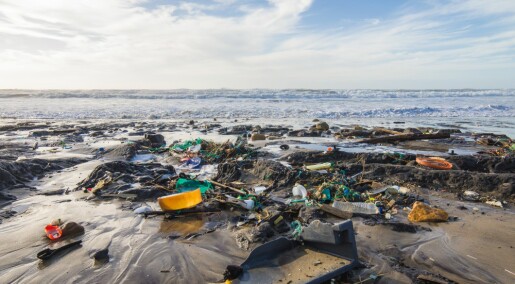 - Nå må havbruksnæringen rydde opp plasten etter seg