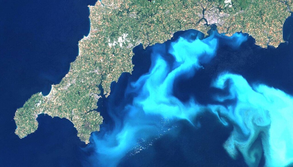 Hvis forholdene ligger til rette for det, kan store oppblomstringer av kalkalgen Emiliania huxley ses fra verdensrommet. (Bilde: Steve Groom, en:Plymouth Marine Laboratory) Hvis forholdene ligger til rette for det, kan store oppblomstringer av kalkalgen Emiliania huxley ses fra verdensrommet. (Bilde: Steve Groom, en:Plymouth Marine Laboratory)