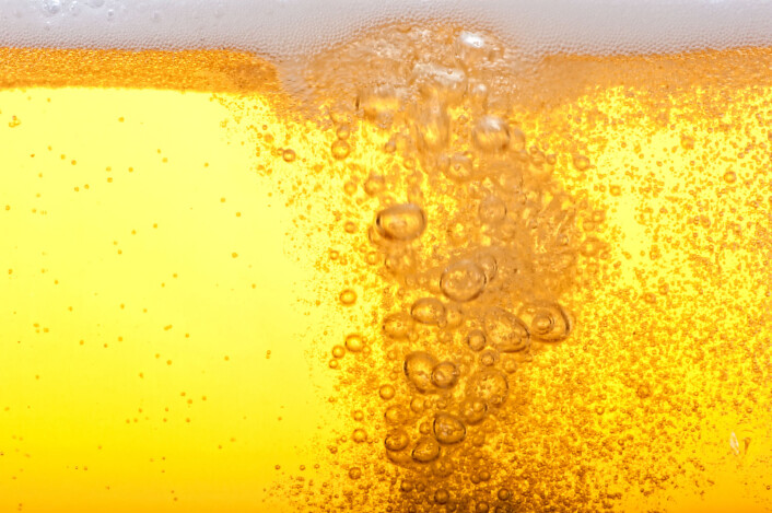 Det er ikke godt å si om det kinesiske ølet var like gyllent og klart som denne moderne pilsneren. (Foto: (Illustrasjonsbilde: Shutterstock/NTB Scanpix)) Det er ikke godt å si om det kinesiske ølet var like gyllent og klart som denne moderne pilsneren. (Foto: (Illustrasjonsbilde: Shutterstock/NTB Scanpix))