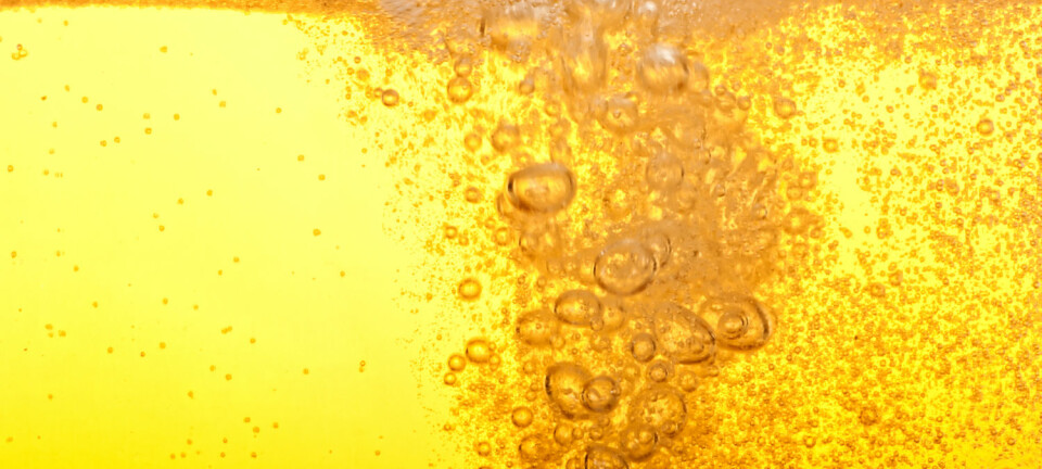 Det er ikke godt å si om det kinesiske ølet var like gyllent og klart som denne moderne pilsneren. (Illustrasjonsbilde: Shutterstock/NTB Scanpix)
