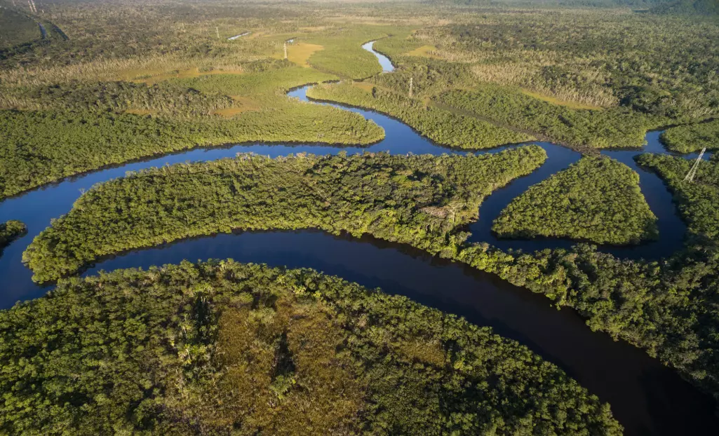 Fortsatt storstilt ødeleggelse av Amazonas-regnskolen kan føre til at transportsystemet for vann forstyrres i så stor grad at store deler av skogen blir om til savanne. (Foto: Gustavo Frazao / Shutterstock / NTB scanpix)