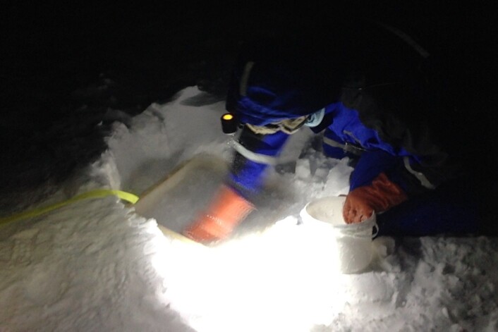 Slapsete vegger av snø rundt boksene holdt vannet inne til det rakk å fryse til. (Foto: Brage B. Hansen, NTNU) Slapsete vegger av snø rundt boksene holdt vannet inne til det rakk å fryse til. (Foto: Brage B. Hansen, NTNU)