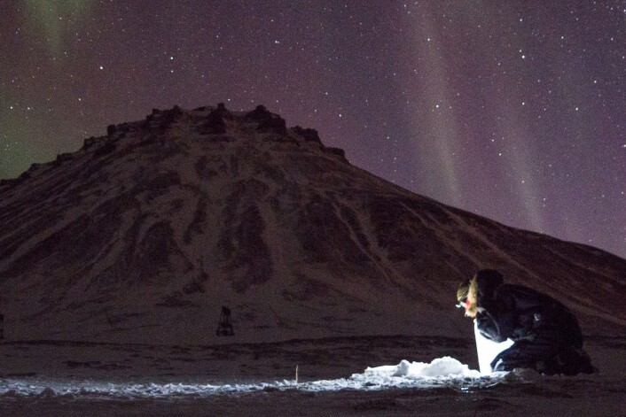 Å jobbe i polarnatten kan være hardt. Men også vakkert. (Foto: Øystein Varpe, UNIS) Å jobbe i polarnatten kan være hardt. Men også vakkert. (Foto: Øystein Varpe, UNIS)