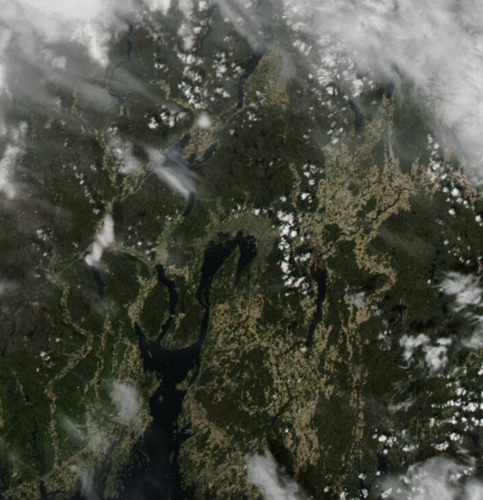 17 mai-været rundt Oslofjorden, sett fra NASAs satellitt Aqua. (Bilde: NASA Aqua MODIS) 17 mai-været rundt Oslofjorden, sett fra NASAs satellitt Aqua. (Bilde: NASA Aqua MODIS)