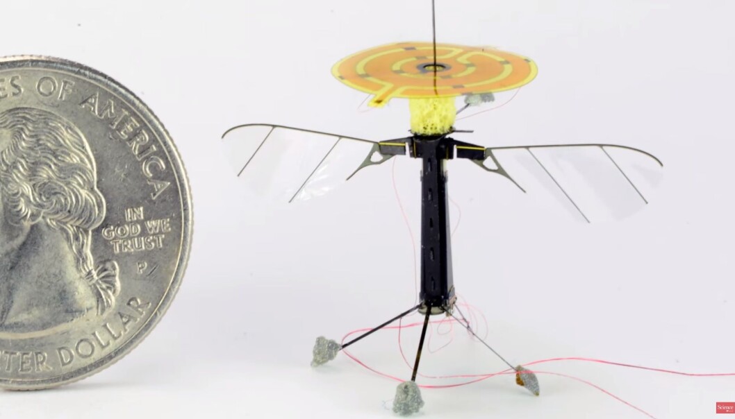 Den knøttlille roboten skal kunne feste seg til mange forskjellige materialer. (Foto: Science AAAS/Skjerdump) Den knøttlille roboten skal kunne feste seg til mange forskjellige materialer. (Foto: Science AAAS/Skjerdump)