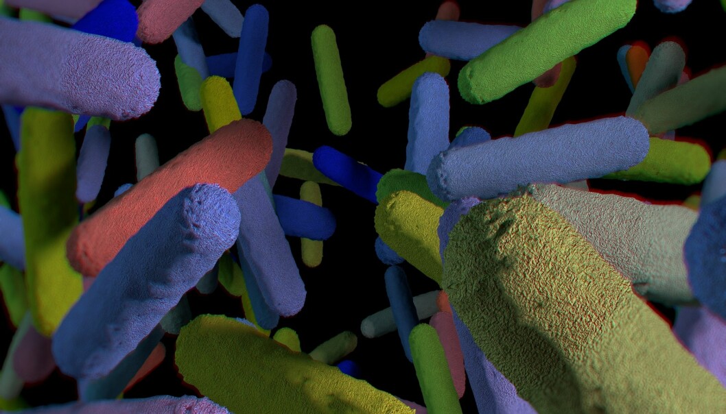 I tarmen og andre steder på kroppen lever milliarder av mikroorganismer. Kanskje påvirker de oss ved å sende ut små proteiner? (Illustrasjon: Anatomy Insider / Shutterstock / NTB scanpix)