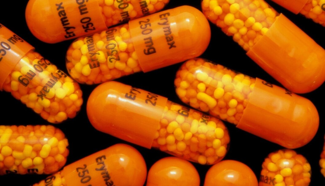 Kapsler med Erymax (250mg) som inneholder det erytromycin - bredspektret antibiotika som ofte brukes i behandling av infeksjoner på huden og i brystet, halsen og ørene. (Foto: Science Photo Library / NTB Scanpix) Kapsler med Erymax (250mg) som inneholder det erytromycin - bredspektret antibiotika som ofte brukes i behandling av infeksjoner på huden og i brystet, halsen og ørene. (Foto: Science Photo Library / NTB Scanpix)