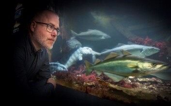 Forsker Sonnich Meier ved Havforskningsinstituttet trakk seg som ekstern rådgiver til prosjektet NYKOS. (Foto: Jan M. Lillebø, Bergens Tidende) Forsker Sonnich Meier ved Havforskningsinstituttet trakk seg som ekstern rådgiver til prosjektet NYKOS. (Foto: Jan M. Lillebø, Bergens Tidende)