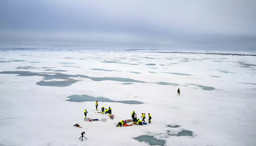 Det å jobbe på isen og ta prøver er et håndverk som krever øvelse. Derfor legger Arven etter Nansen ekstra vekt på å gi sine unge forskere en solid opplæring i hvordan arbeidet på isen må foregå. (Foto: Siv N. K. Hoff, UiO / The Nansen Legacy)