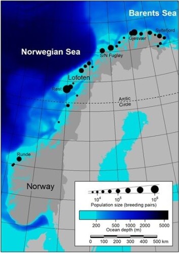 Kartet viser de største norske sjøfuglkoloniene og topografien på sjøbunnen. Kartet viser de største norske sjøfuglkoloniene og topografien på sjøbunnen.