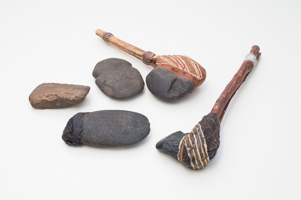 Fragmentene kommer fra økser med skaft som dette, konkluderer de australske arkeologene. (Foto: Stuart hay, ANU)