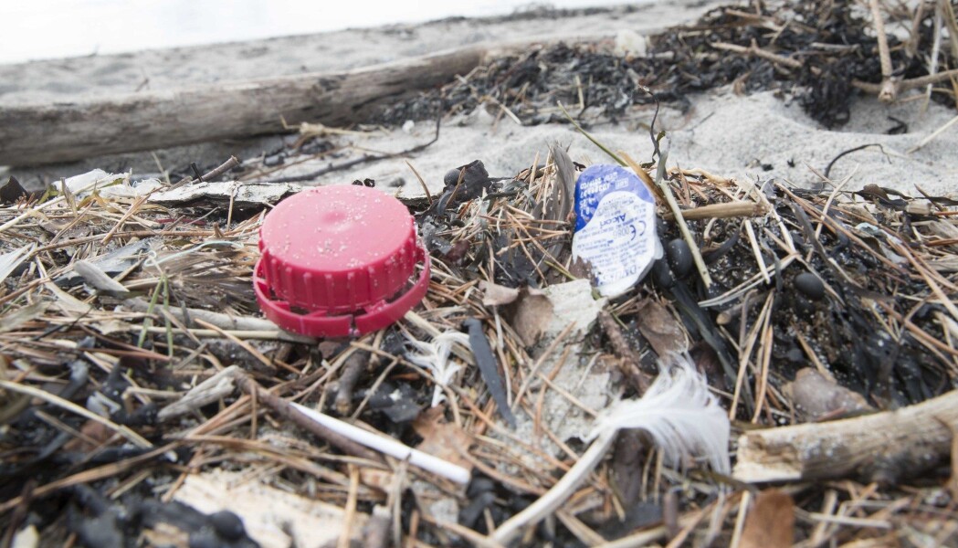 Plast avbildet på en strand langs norskekysten. (Foto: Terje Pedersen, NTB scanpix) Plast avbildet på en strand langs norskekysten. (Foto: Terje Pedersen, NTB scanpix)