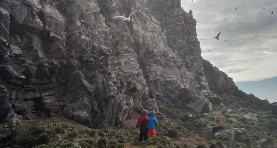 Miljøagentene følger nysgjerrig med på hva som skjer oppi fjellet. Foto: Siv Grethe Aarnes