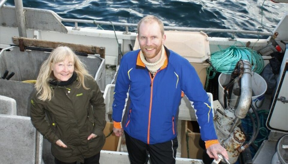 Forskerne Hilde Hansen og Bjørn Altermark har reist rundt på fiskebruk og oppdrettsanlegg for å lete etter plastproduserende bakterier. (Foto: Vibeke Os)