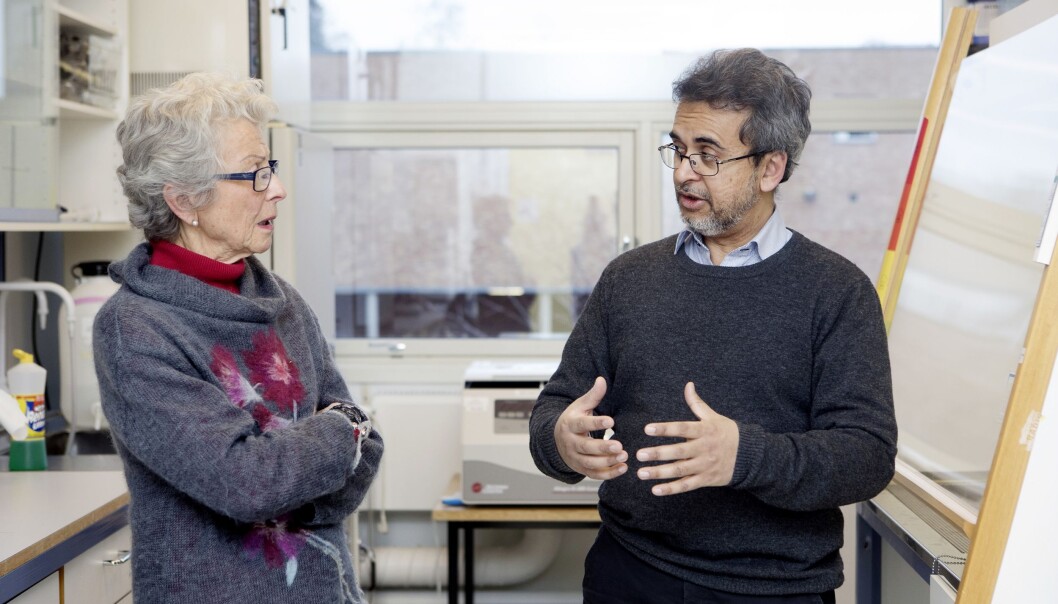 – Klarer vi å forutsi demens, har vi kommet et godt stykke på vei, forklarer professor Farrukh Abbas Chaudhry til Sissel Falck-Jørgensen (Foto: Anne Elisabeth Næss) – Klarer vi å forutsi demens, har vi kommet et godt stykke på vei, forklarer professor Farrukh Abbas Chaudhry til Sissel Falck-Jørgensen (Foto: Anne Elisabeth Næss)