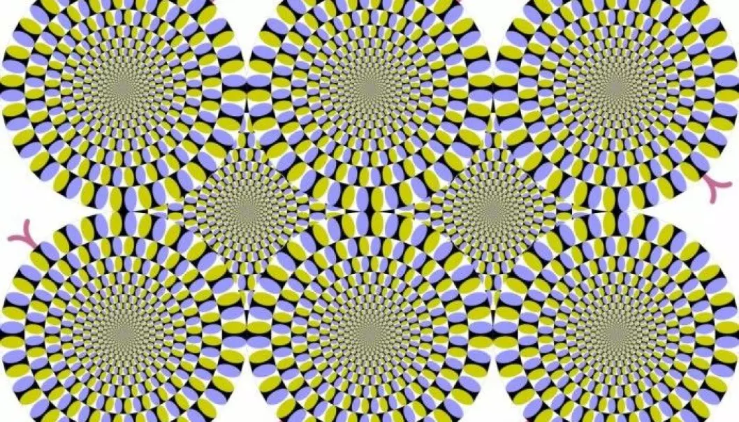 Bildet heter «De roterende slangene». Bildet var med i konkurransen «Best Illusion of the Year Contest» i 2005. (Illustrasjon: Cmglee/Wiki commons)