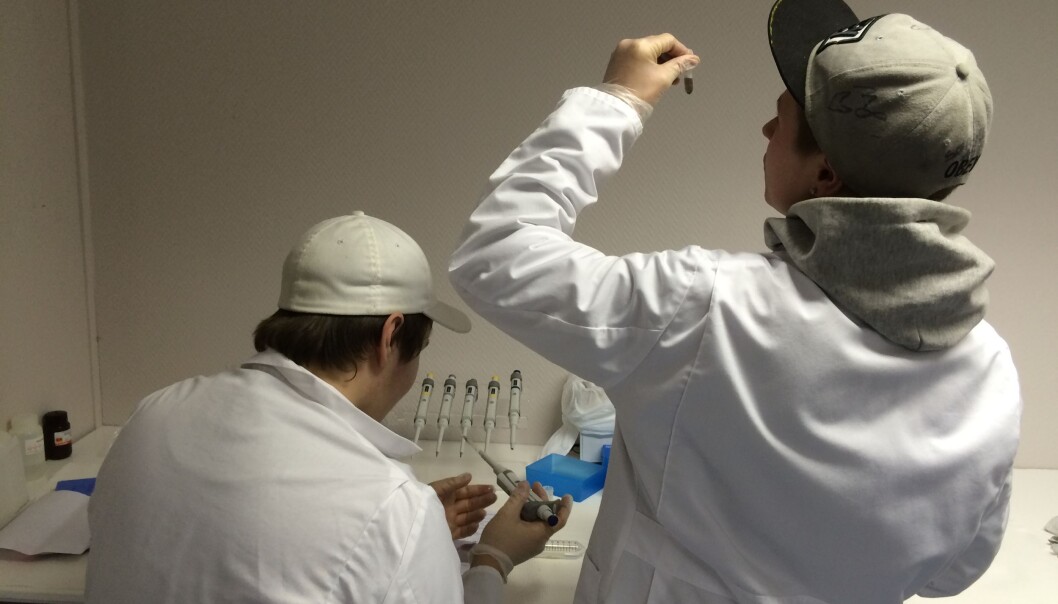 Elever i 10.klasse besøker Forskerlaben på NIBIO Svanhovd, et laboratorium utviklet spesielt for elever og lærere. Her får de prøve seg på forskning i realfag, med tilgang på moderne utstyr og lokaler. Problemet med realfagene ikke alltid er hva man lærer bort, men hvordan man gjør det, skriver kronikkforfatteren. (Foto: Siv Grethe Aarnes) Elever i 10.klasse besøker Forskerlaben på NIBIO Svanhovd, et laboratorium utviklet spesielt for elever og lærere. Her får de prøve seg på forskning i realfag, med tilgang på moderne utstyr og lokaler. Problemet med realfagene ikke alltid er hva man lærer bort, men hvordan man gjør det, skriver kronikkforfatteren. (Foto: Siv Grethe Aarnes)