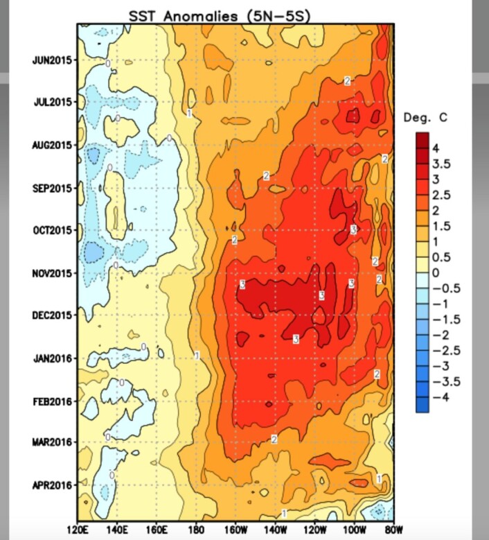 Tidsutviklingen for overflatetemperaturen langs ekvatorbeltet i hele Stillehavet. (Bilde: NOAA) Tidsutviklingen for overflatetemperaturen langs ekvatorbeltet i hele Stillehavet. (Bilde: NOAA)