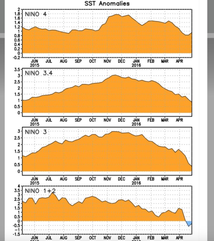 El Ninjo's vekst og fall i 2015-2016. (Bilde: NOAA) El Ninjo's vekst og fall i 2015-2016. (Bilde: NOAA)