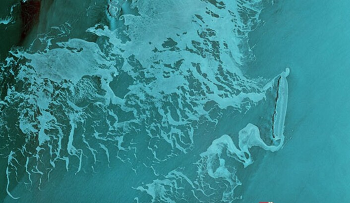Hopen, vinden og sjøisen laget radar-show, formidlet av Sentinel-1B. (Bilde: Copernicus Sentinel Data 2016) Hopen, vinden og sjøisen laget radar-show, formidlet av Sentinel-1B. (Bilde: Copernicus Sentinel Data 2016)