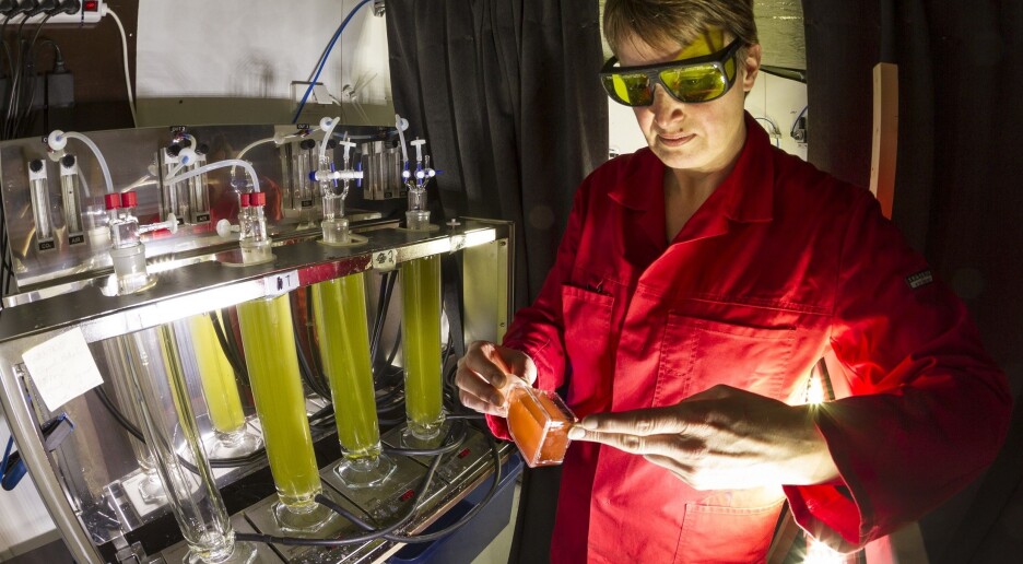 Utvikler biologiske mikrofabrikker