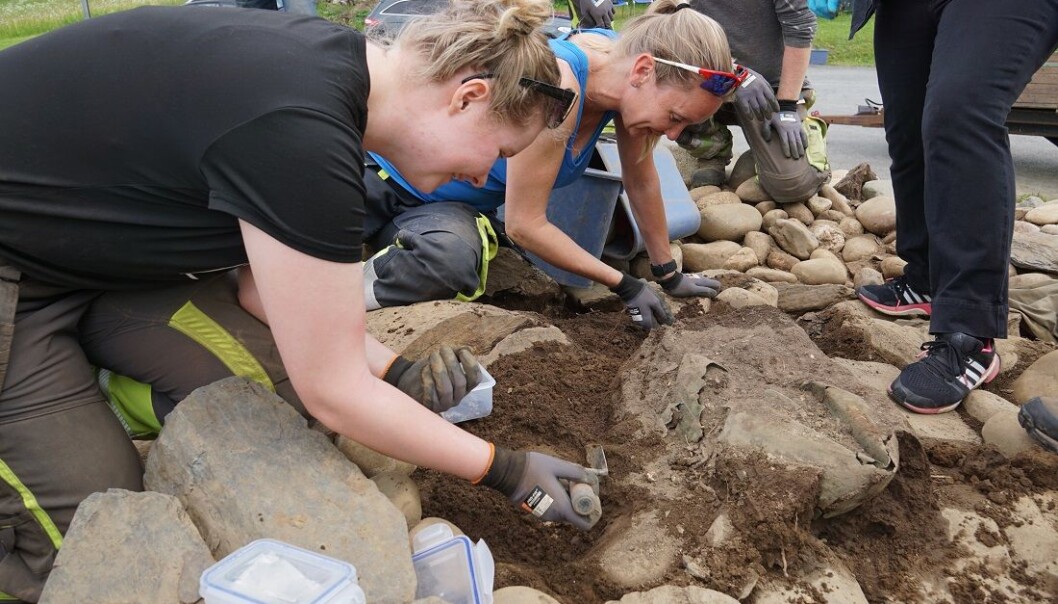 Heidi Fløttum Westgaard (fremst) og Ellen Grav Ellingsen avdekker kjelen. (Foto: Astrid Kviseth/NTNU Vitenskapsmuseet) Heidi Fløttum Westgaard (fremst) og Ellen Grav Ellingsen avdekker kjelen. (Foto: Astrid Kviseth/NTNU Vitenskapsmuseet)