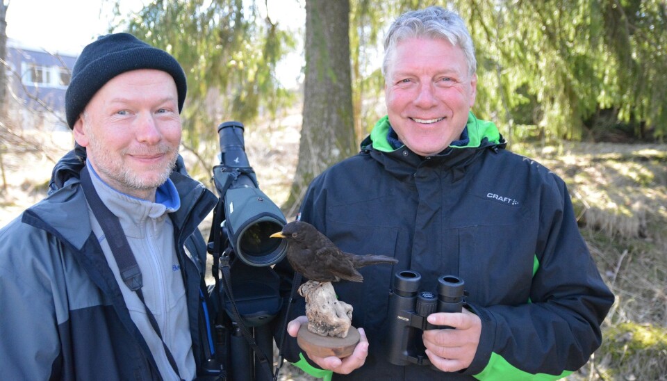 Audun Eriksen (til venstre) og Magne Husby - to fuglefrelste kolleger. (Foto: Nord universitet)