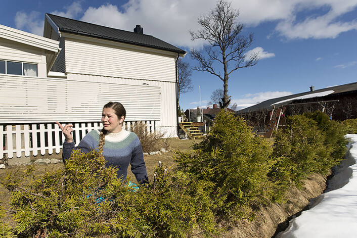 Rundt hagen ligger snøen fortsatt tykk, men innenfor hekken har Charlotte Thorsteinsen i Tromsø assistert våren for å gi blomster, grønnsaker og prydbusker litt starthjelp i april. ( Foto: Stig Brøndbo) Rundt hagen ligger snøen fortsatt tykk, men innenfor hekken har Charlotte Thorsteinsen i Tromsø assistert våren for å gi blomster, grønnsaker og prydbusker litt starthjelp i april. ( Foto: Stig Brøndbo)