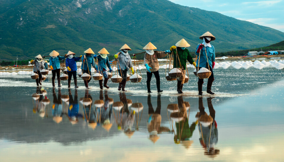 Når det kommer til fordeling av godene gjør Vietnam det faktisk mye bedre enn Kina, og Verdensbanken har omtalt Vietnams utvikling som bemerkelsesverdig 'pro-poor'. Bildet er fra NhaTrang, der arbeidere bærer salt til fabrikkene.  (Foto: NTB Scanpix)
