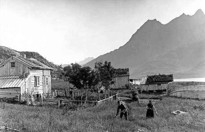 Da hagene fikk gjerder, var det oftest fordi beitende dyr ikke skulle nå inn til planter og blomster. Hagegjerdet til dette småbruket, fotografert i Raftsundet i Nordland i 1884, ser ut til å bestå av gammelt fiskegarn og råvedstenger. (Foto: Axel Lindahl, Norsk folkemuseum) Da hagene fikk gjerder, var det oftest fordi beitende dyr ikke skulle nå inn til planter og blomster. Hagegjerdet til dette småbruket, fotografert i Raftsundet i Nordland i 1884, ser ut til å bestå av gammelt fiskegarn og råvedstenger. (Foto: Axel Lindahl, Norsk folkemuseum)