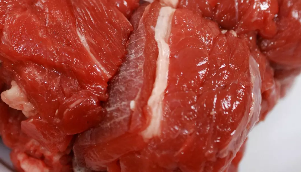 Eat less red meat, advises Professor Jan Erik Paulsen (Photo: Colourbox)
