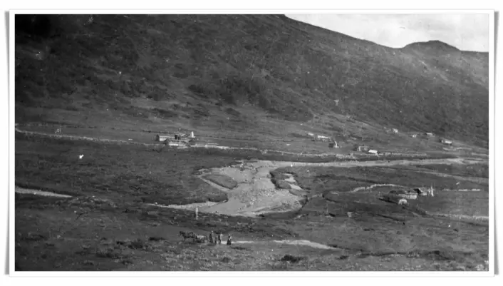 På dette fotoet fra Synnerdalen innerst i Budalen i Trøndelag, ser du hvordan den omfattende nedhuggingen av fjellskogen dramatisk forandret landskapet. Bildet er tatt i 1914. (Foto: Anna Rønning)